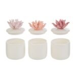 Le Stelle - Scatola Corallo Candela 3Ass. 6x6xh. 8,5cm - immagine 3
