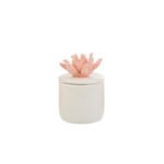 Le Stelle - Scatola Corallo Candela 3Ass. 6x6xh. 8,5cm