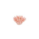 Le Stelle - Corallo Candela 3Ass. 12x12xh. 7cm